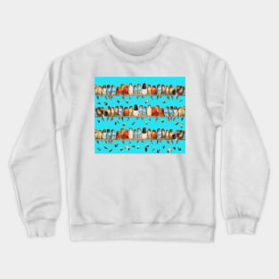 A PERCH OF COLORFUL BIRDS AND FLYING FEATHERS IN BLUE SKY Crewneck Sweatshirt